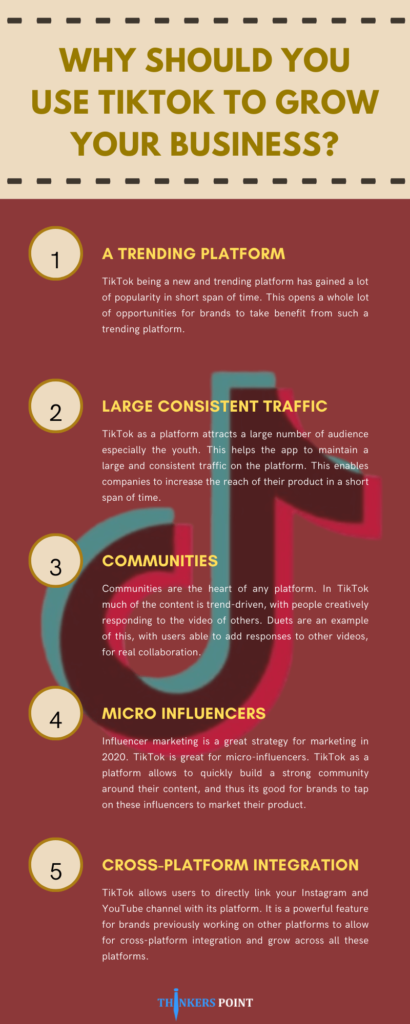 Why Should You Use Tiktok To Grow Your Business [Infographic]